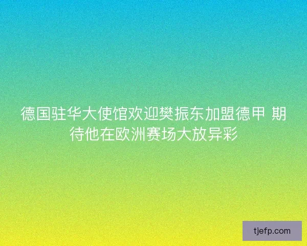德国驻华大使馆欢迎樊振东加盟德甲 期待他在欧洲赛场大放异彩 德国驻华大使馆欢迎樊振东加盟德甲 期待他在欧洲赛场大放异彩